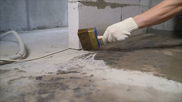 24/7 Emergency Wet Basement Repair experts in Hartford, MI